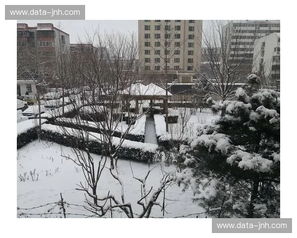 开云体育今日直播表